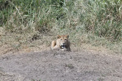 DSC_3665 (Large).JPG